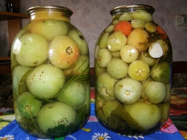 Квашеные зеленые помидоры на зиму. Маринованная зеленая помидора как в магазине. Маринованная зеленая помидора как в магазине. Зеленые помидоры в банке. Зеленые маринованные помидоры в ссср.