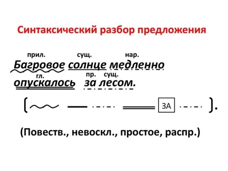 Сена 4 разбор. Синтаксический разбор предложения схема. Схема синтакчического разбрапредложений. Схема синтетический разбор предложения. Схема синтаксического разбора простого предложения.