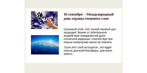 Озоновый слой защищает живые организмы