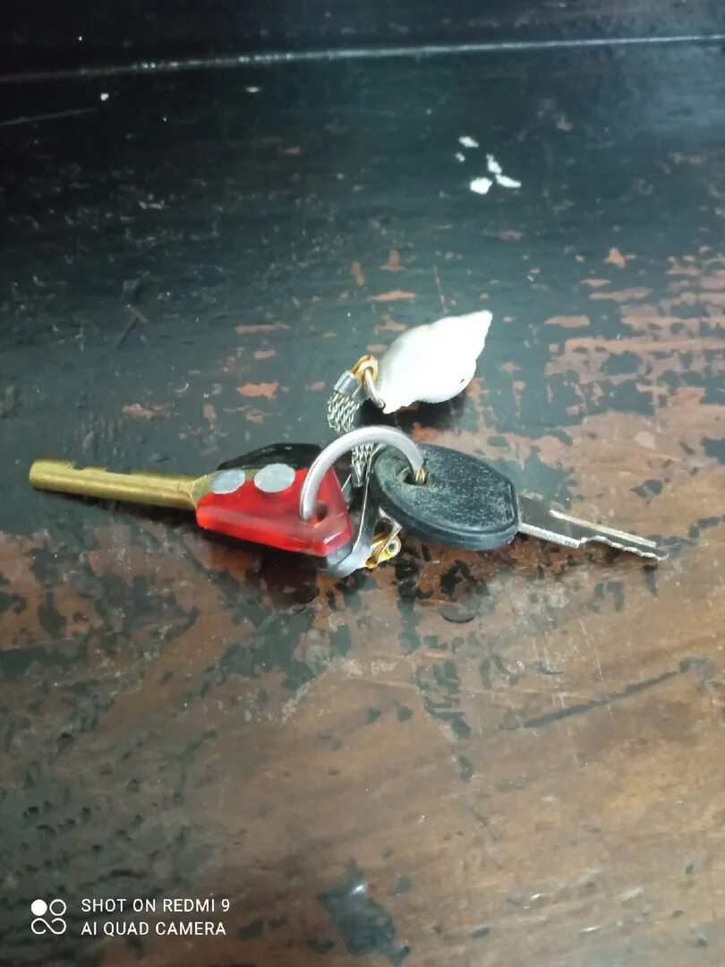 Находки Лянтор ключи. Пропажа находка ключей в Череповце. Возврат ключей.