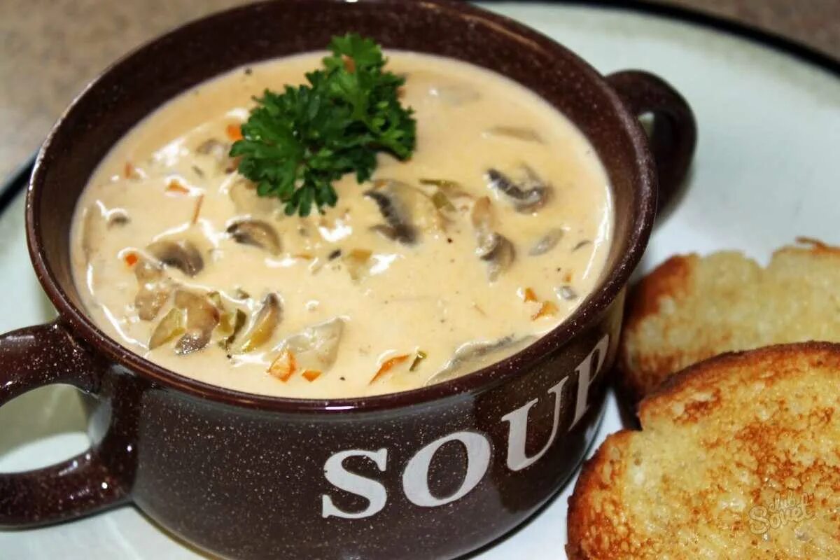 Грибной суп пюре из шампиньонов с сыром. Губница грибной суп. Суп пюре из белых грибов. Грибной сырный суп. Сливочный суп с грибами.
