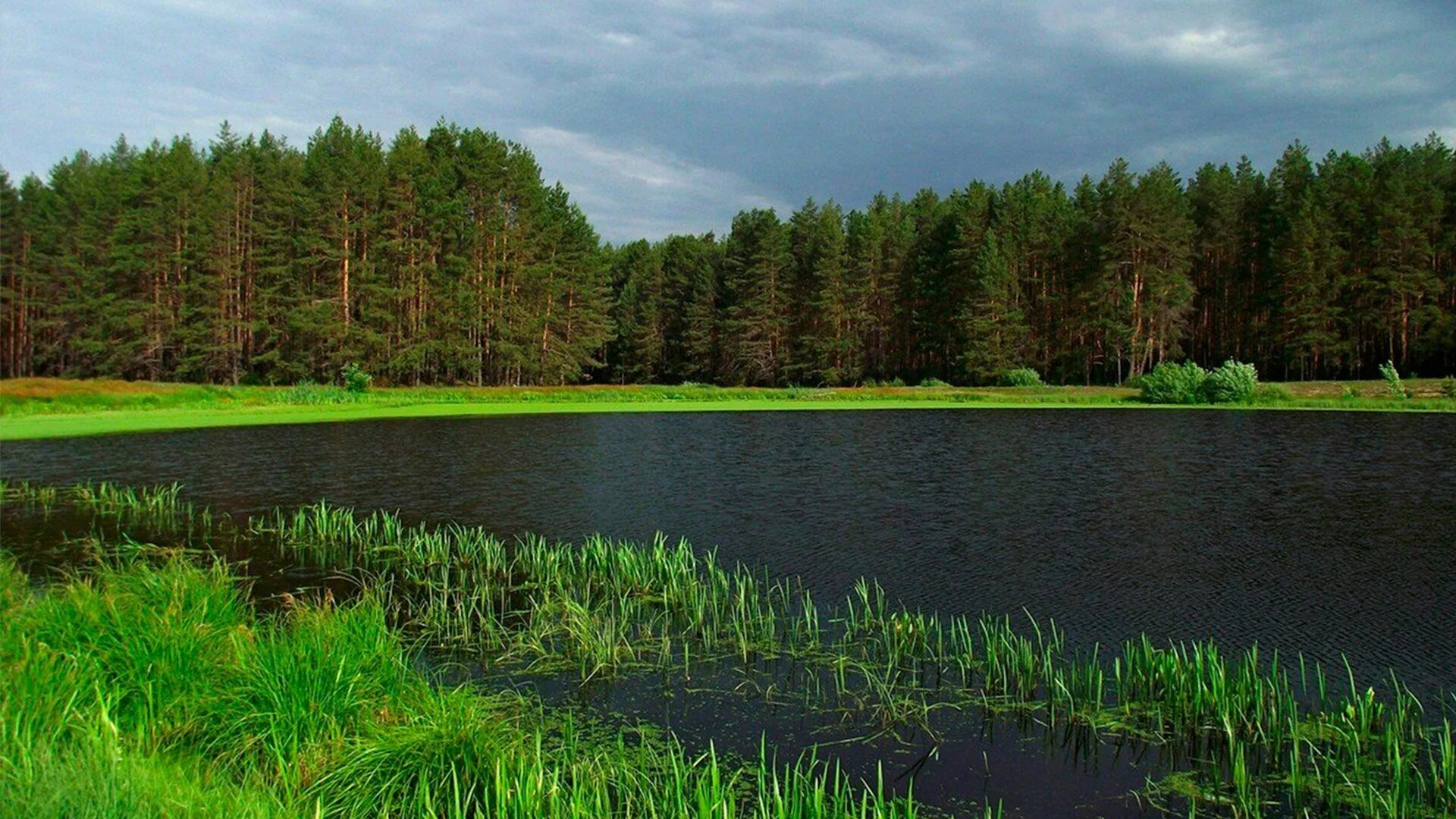 Мордовия природная зона какая. Заповедник Смольный Мордовия. Республика Мордовия Мордовский заповедник. Заповедник Темников в Мордовии. Национальный парк Смольный.