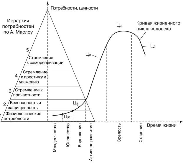 Жизненный цикл потребностей. Этапы жизненного цикла потребностей. Цикл жизненных потребностей человека. Жизненный цикл человека. Схемы основных жизненных циклов человека.