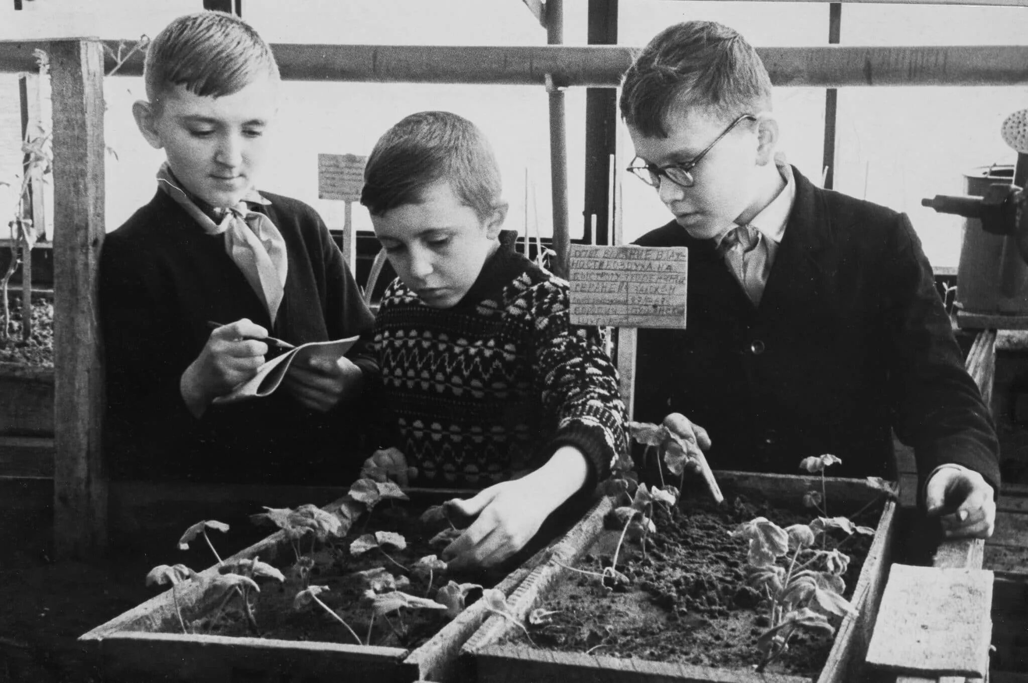 Юный натуралист эмблема. Сообщество натуралистов. Как стать натуралистом. Станция юных натуралистов ссср. Движение юных натуралистов.