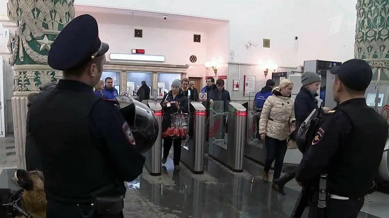 Досмотр в аэропорту. Досмотр на МЦК. Безопасность в Москве. Группа досмотра транспорта.