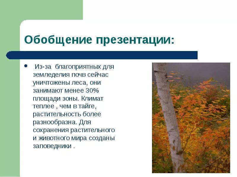 Почвы зоны смешанных лесов в россии. Смешанные и широколиственные леса почва таблица. Смешанные и широколиственные леса климат почва. Почвы тайги смешанных и широколиственных лесов. Климат и почвы смешанных и широколиственных лесов.