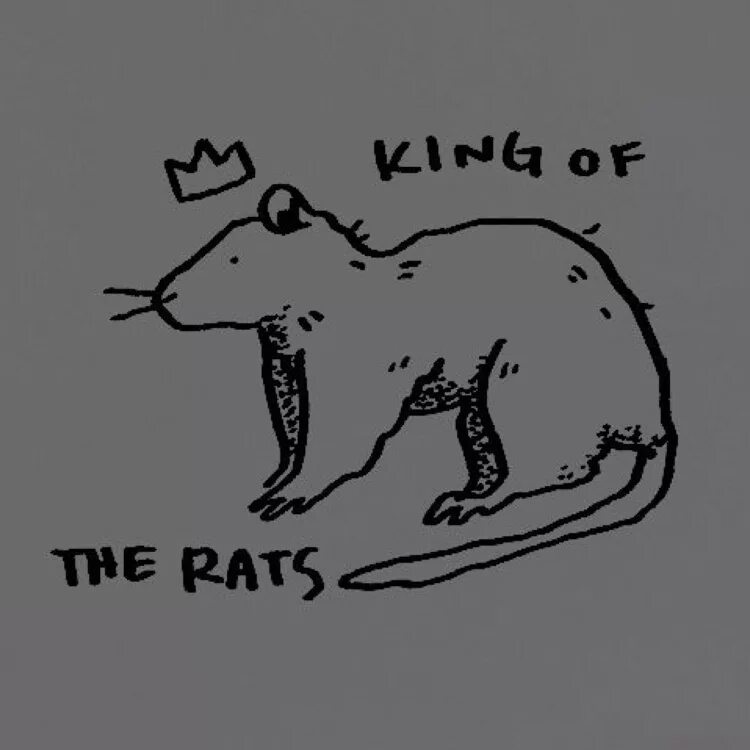 Социальное мышление крыс. Мысли крыс. Картинка про Крысиные мысли. Нарисованная крыса Мем. Идеи для крыс.