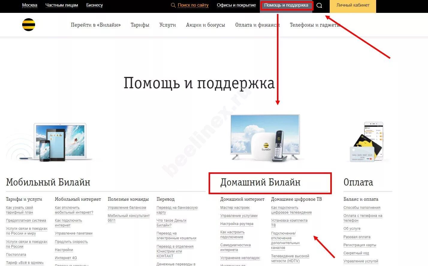 Домашний интернет служба поддержки москва. Билайн интернет техподдержка. Техподдержка Билайн домашний интернет. Билайн домашний интернет и Телевидение. Интернет и ТВ Билайн.