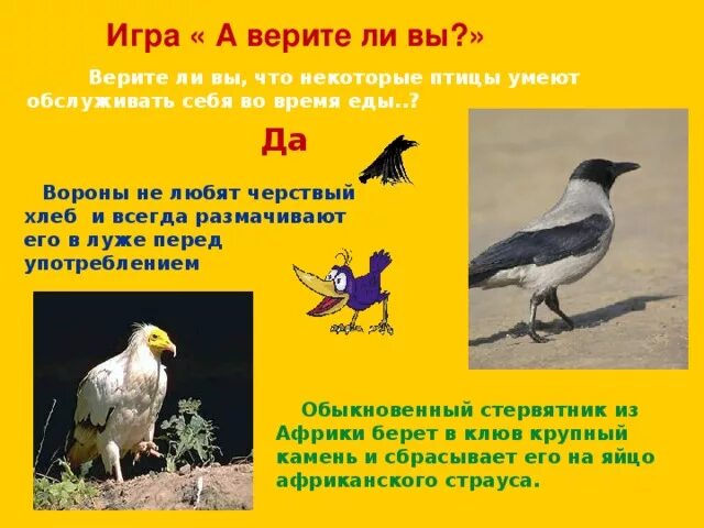 Какая птица песня