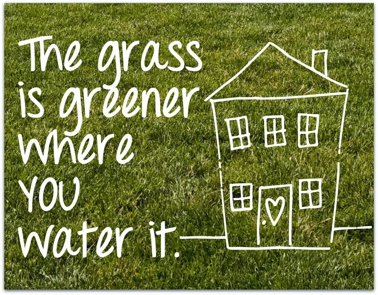 As it is the greenest. The grass is always greener on the other side. the grass is always greener on the other side of the fence русский эквивалент. the grass is always greener on the other side of the fence. phonique - grass is greener.
