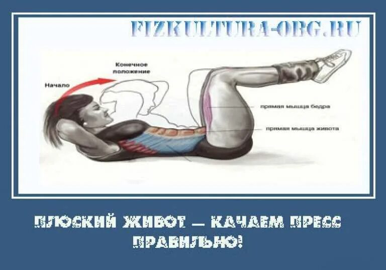 Как качать пресс. Правильное качание пресса. Упражнения для качания пресса. Упражнение пресс живота.