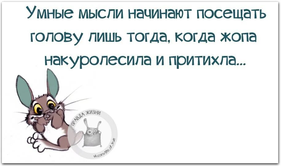 Хаос в голове. Все в моей голове. Неразбериха в голове. Мысли абстракция. В голове одна лишь мысль.