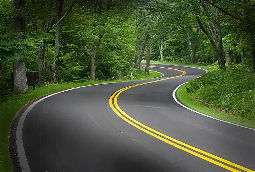 Ahead of the curve. Ahead of the curve