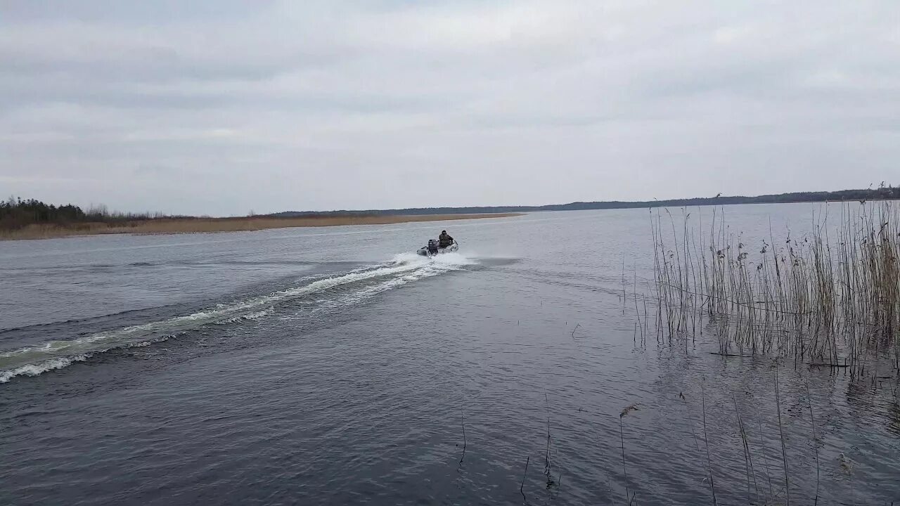 Водохранилище крылово. Левковское озеро. Озеро левки. Левковское озеро. Озеро левки.