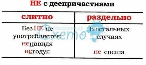 Не смотря на деепричастие