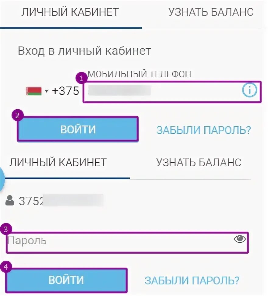 Личный кабинет тайного. Токс Бологое личный кабинет. Токс Осташков личный кабинет. РУП Абхазсвязь личный кабинет вход телефон.