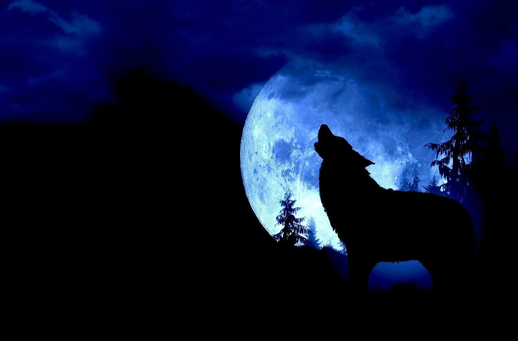 Волк выходит ночью. Волк и Луна. Черный волк. Волк воет на луну. Волк на рабочий стол.