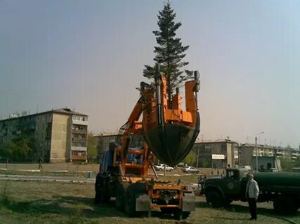 Пересадки душанбе