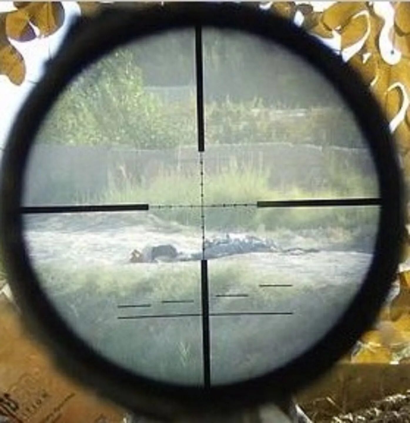 Оптический прицел снайпер. BSA снайперский прицел. Прицел тепляк 35. Вид в оптический прицел снайперской винтовки. Прицел юг
