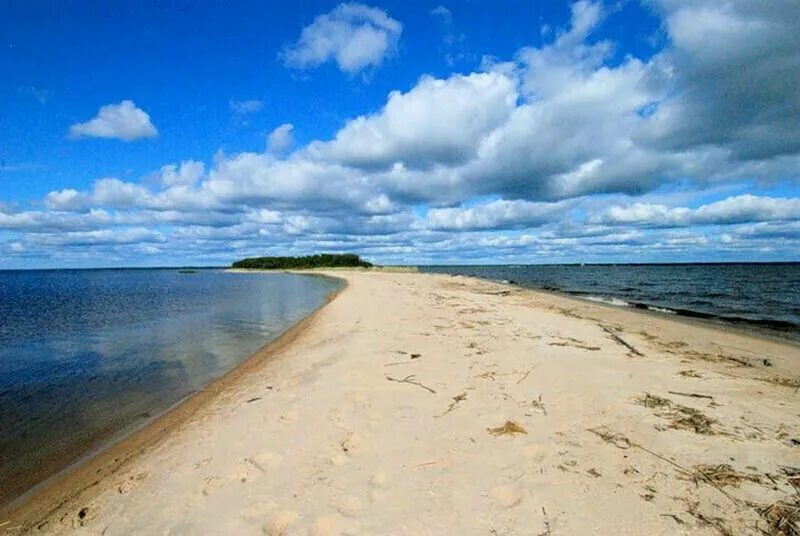 Деревня черное море. Челмужская коса Карелия. Челмужи Песчаная коса. Медвежьегорск Челмужская коса. Чёлмужская коса Онежского озера.