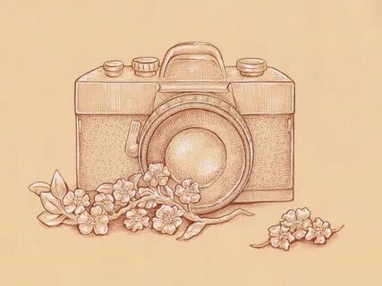 Vintage 5
