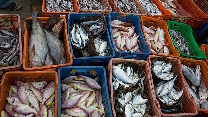 Купили на рынке рыбу. Рыба на рынке. Рыбный рынок в Тюмени. Пресноводная рыба на рынке. Рыбный рынок Симферополь.