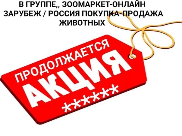 Т д акции