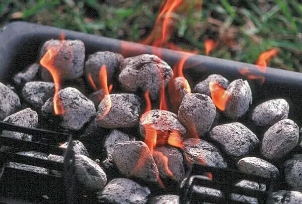 Какие угли для шашлыка. Шашлык на углях. Уголь для жарки. Мангал уголь шашлык. Разаженные угли в мангале.