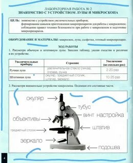 Биология 11 лабораторная работа 1