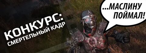 Маслину поймал