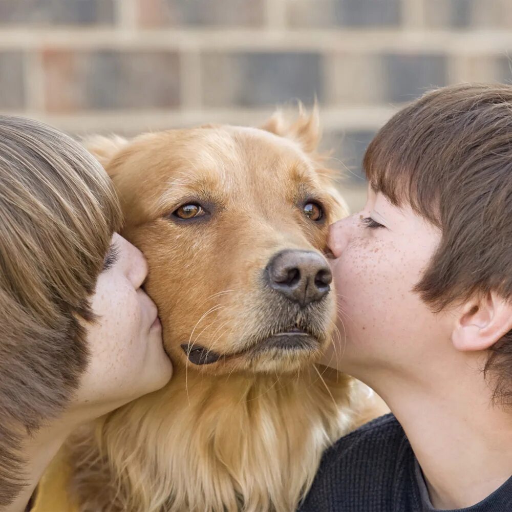 Женщина любит животных. Собака друг человека. Домашние животные и человек. Люди и животные любовь. Любовь к животным.