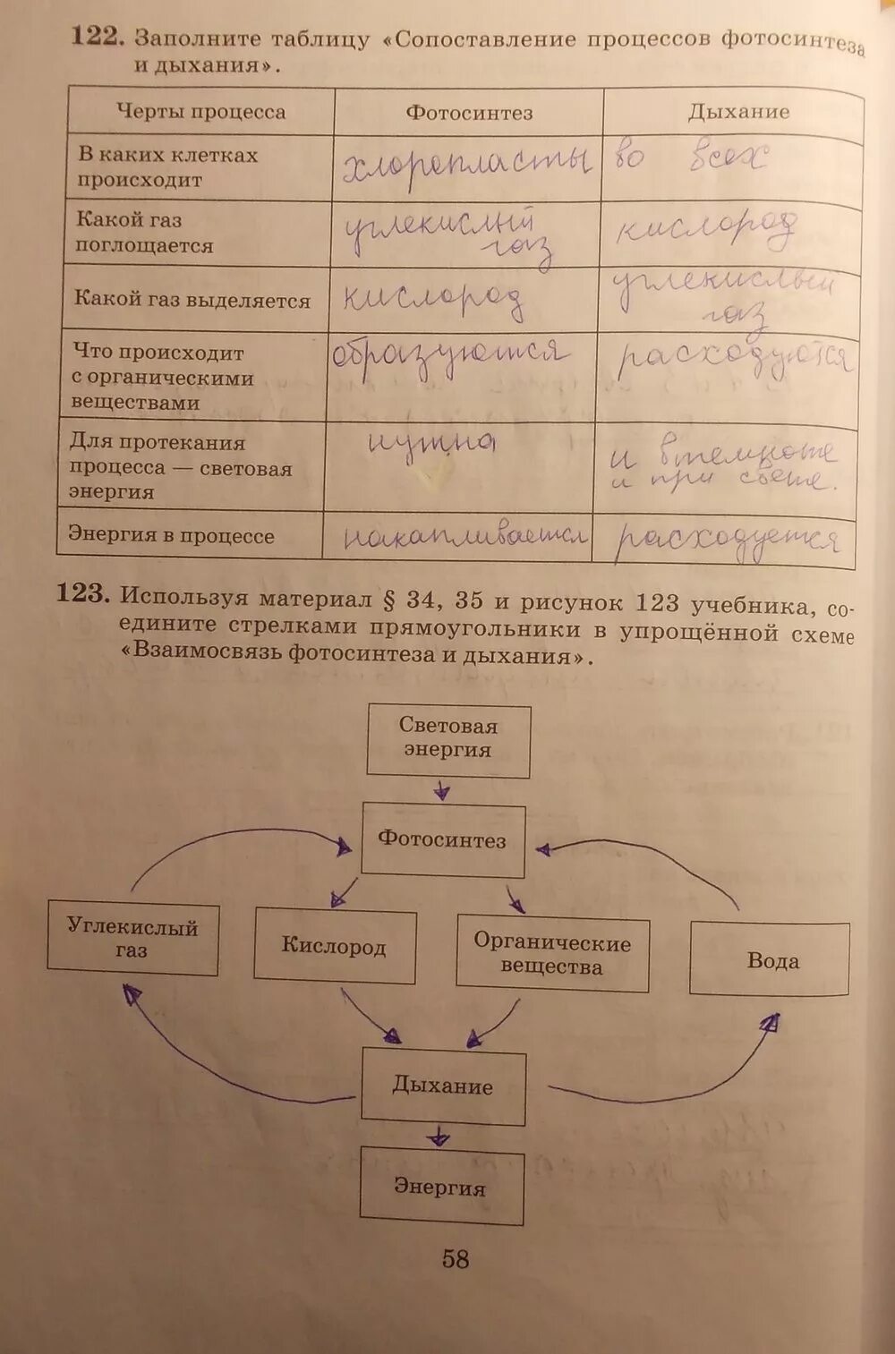 16 параграф пасечник биология 6 класс учебник. Гдз биология Пасечник 6 класс .фотосинтез. Гдз по биологии 6 класс рабочая тетрадь Пасечник фотосинтез. Биология 6 класс рабочая тетрадь Пасечник 16 параграф. Таблица сравнение процессов фотосинтеза и дыхания.