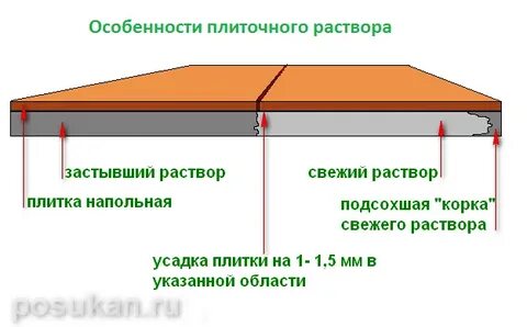 Как долго сохнет плитка