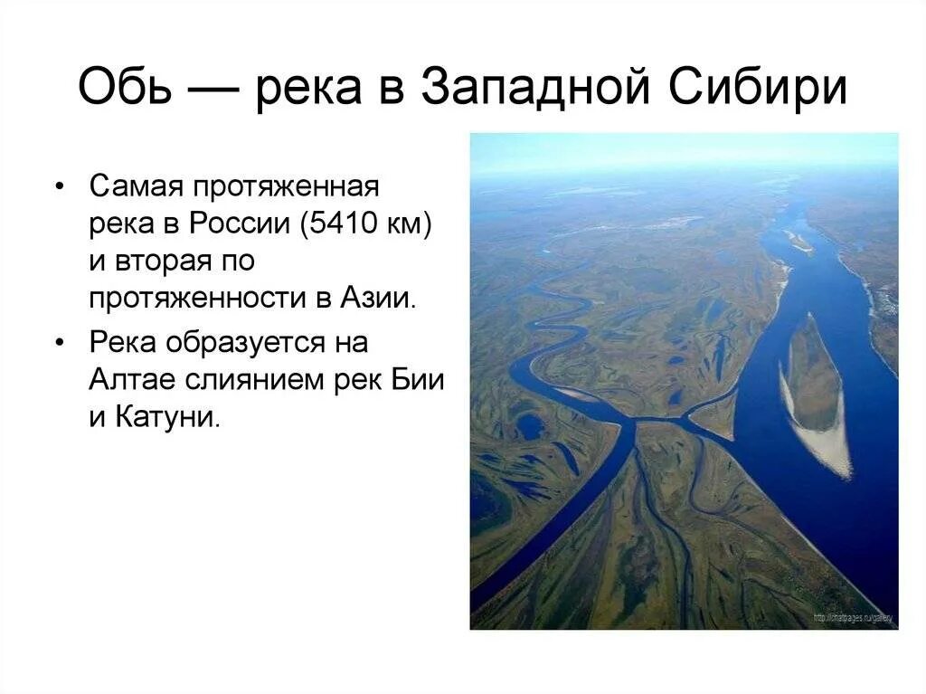 Река обь план. Река Обь в Западной Сибири. Описание реки Обь. Рассказ о реке Обь. Реки впадающие в Обь Томская область.