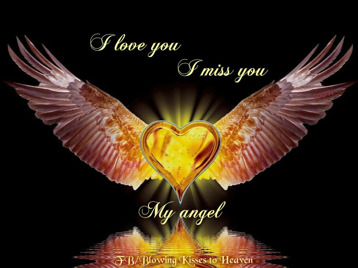 I love you angel. My angel. Сердце для любимой. Ангел вектор. Ангелочек.