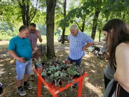 Мероприятие зеленый