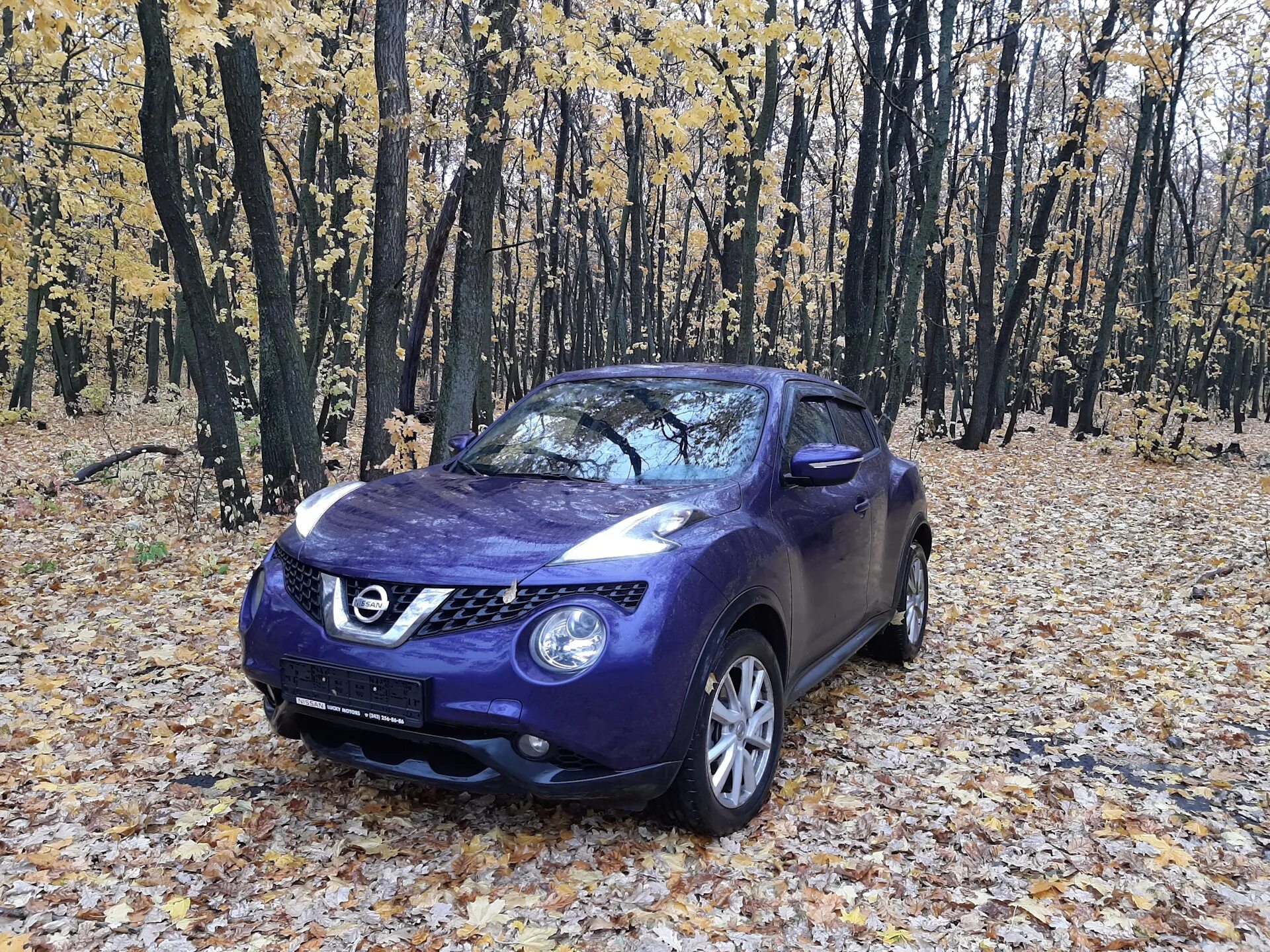 Ниссан жук полный. Nissan Juke. Nissan Juke коричневый. Ниссан Жук черный. Nissan Juke 2 коричневый.