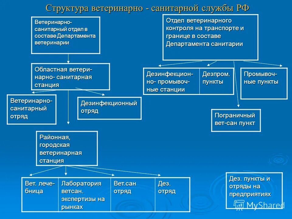 открытка медицинскому работнику с юбилеем. работа санитарной службы. гос эпидемиологическая служба. санитарный надзор. санитарный врач профессия.