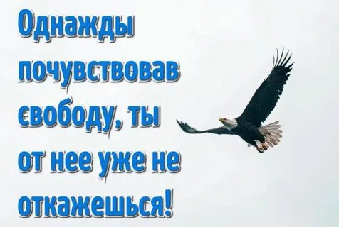 Цитаты со смыслом свобода