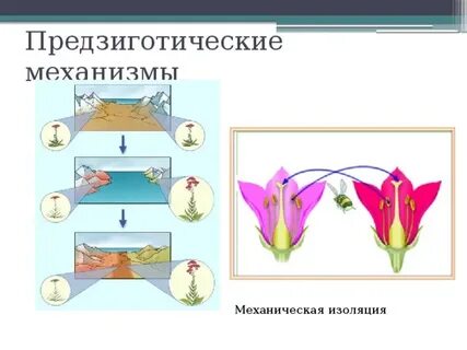 Механическая изоляция