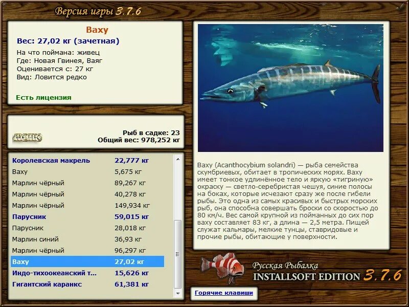 барракуда размеры рыбы. 7. барракуда размер и вес. реальная рыбалка барракуда. щука рыба барракуда.