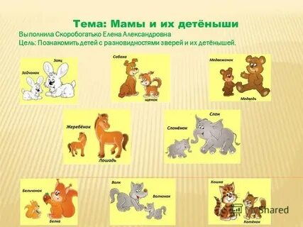 Мне захотелось узнать чьи это детеныши