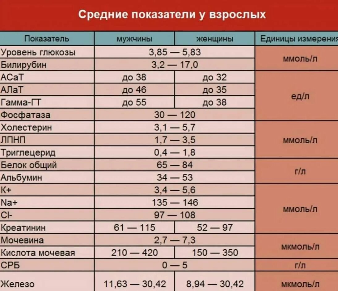Норма взрослых