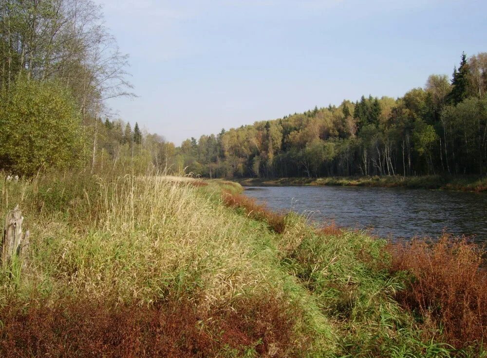 Подвесной мост в тучково. Посёлок дорохово московская область рузский район. Рузский район московской области санаторий дорохово. Профсоюзный санаторий дорохово. Руза московская область природа.