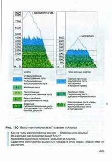 Высотная поясность животные и растения