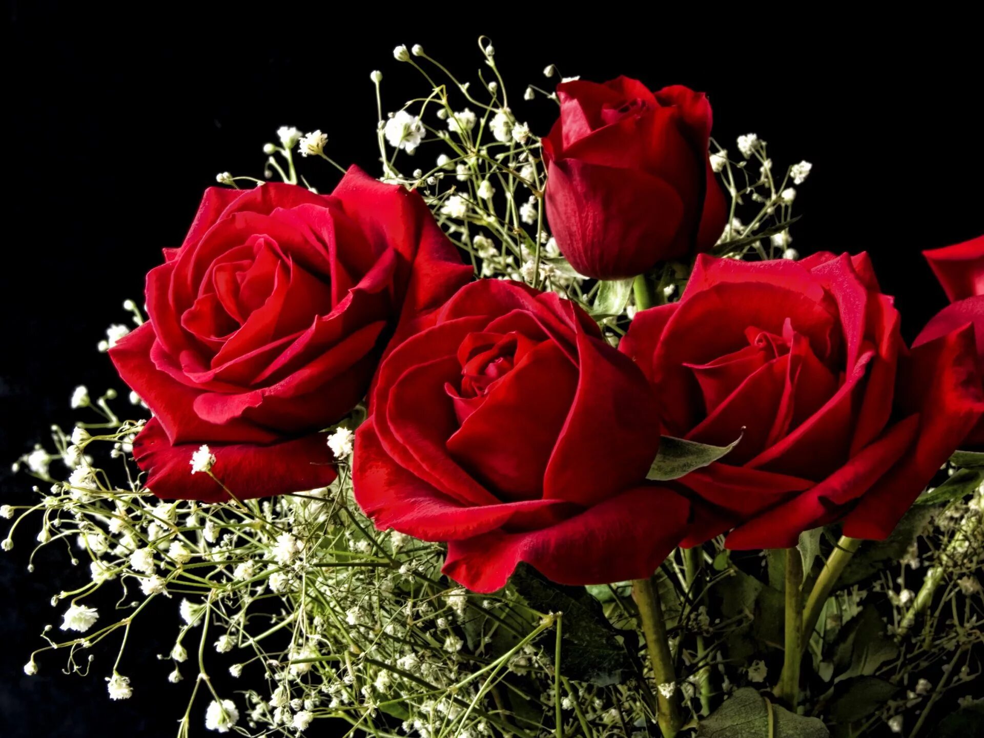 Букет роз к 8 марту. Цветы розы. Красивые розы. Красные розы.