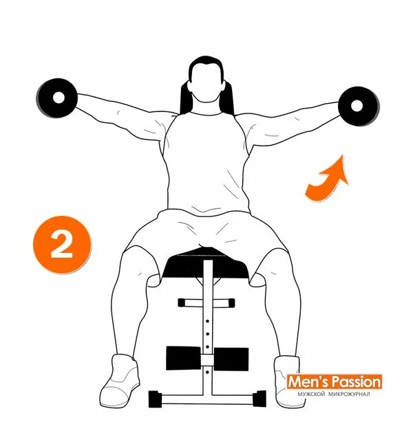 Махи гантелями в стороны сидя. Разводка гантелей сидя. Отведение с гантелями сидя. Жим гантелей в стороны.