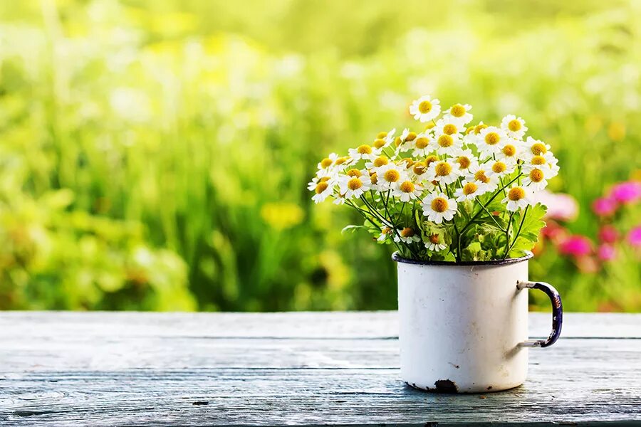 When spring