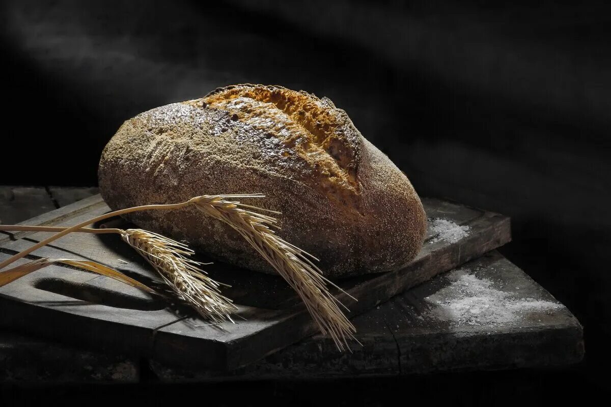 хлеб на корню 4. хлеб на корню 4. хлеб на корню. чисто ржаной хлеб. выпечка хлеба.