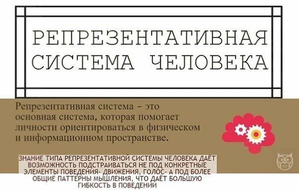Определите ведущую репрезентативную систему человека. Репрезентативные системы человека. репрезентативная система человека картинки. типы репрезентативных систем. репрезентативные системы в психологии.